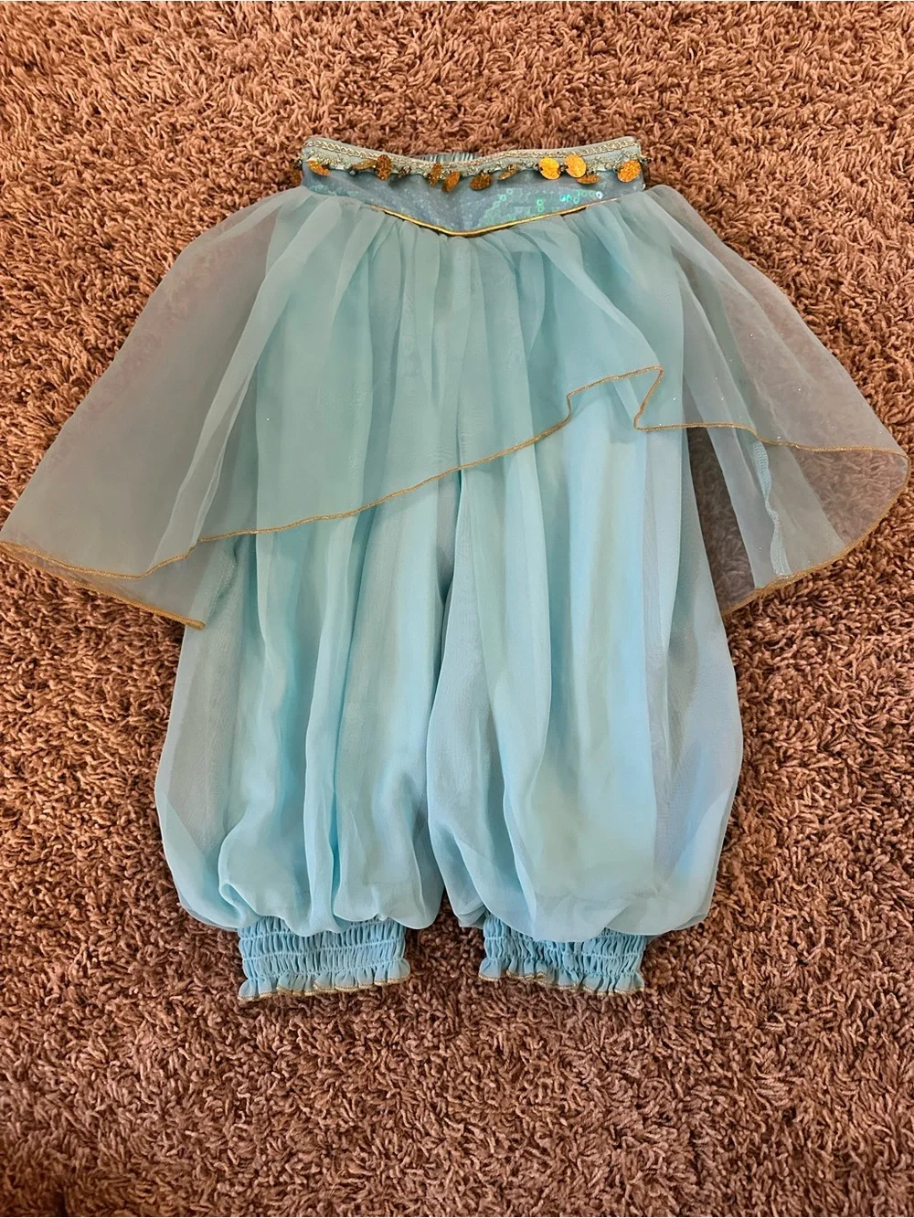 Disney Princess Jasmine Costume from Disneyland